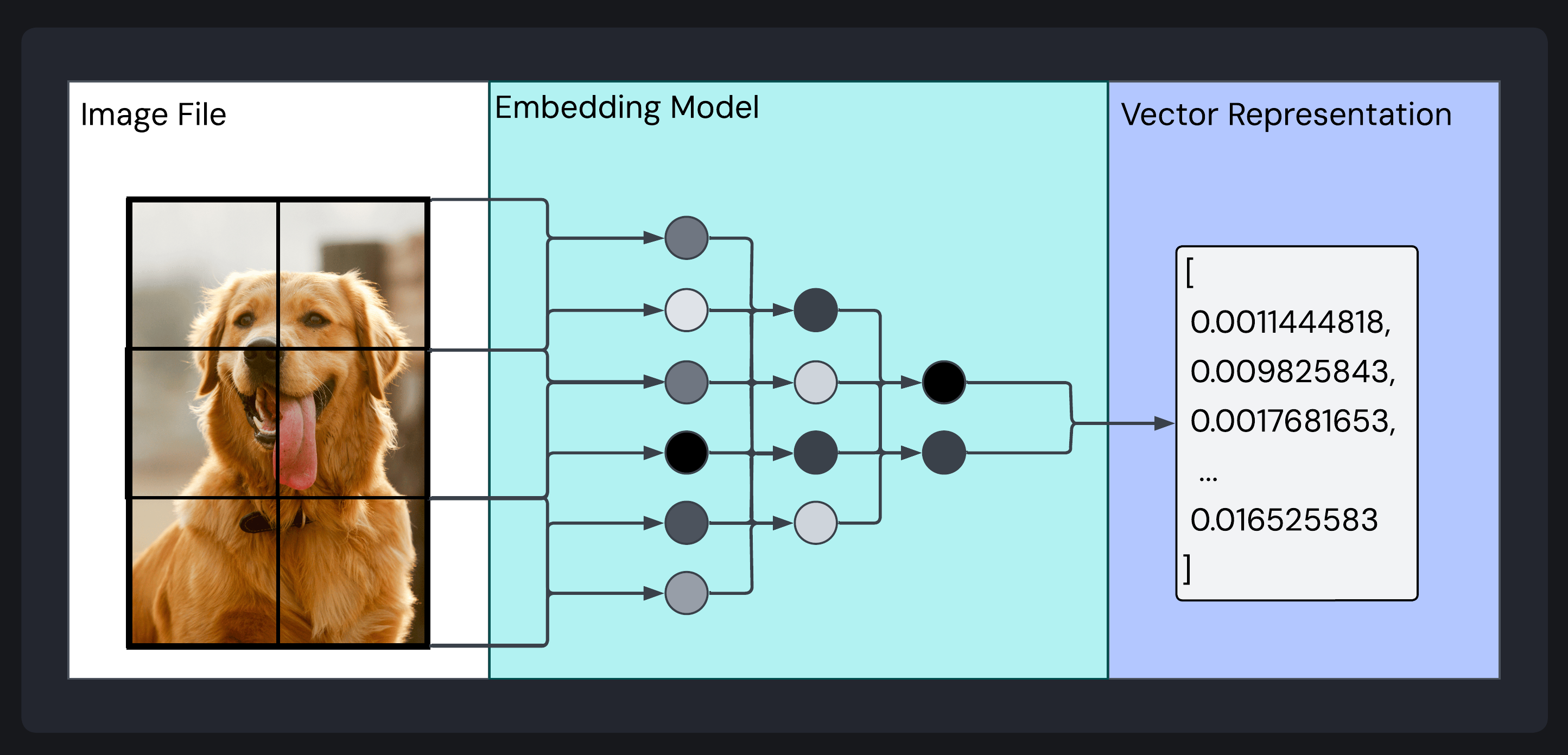 An image of a dog transformed through an embedding model into its lower-dimensional vector representation